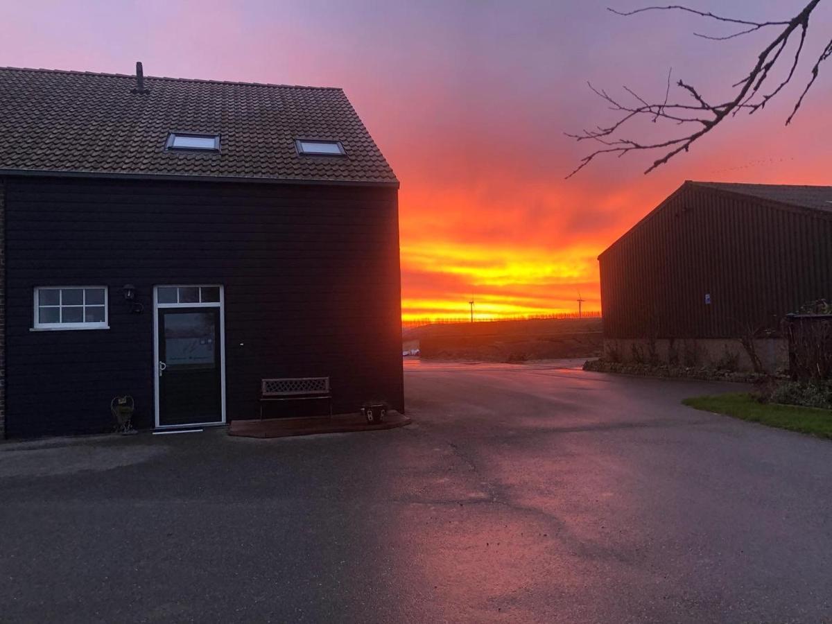 Ferienwohnung De Graanzolder Hoofdplaat Exterior foto